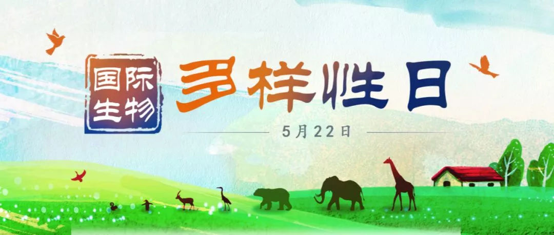 國(guó)際生物多樣性日 探尋啟東自然生靈的旅游魅力